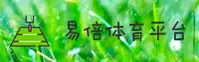 使用指南与常见问题